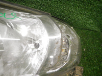 DSCN9166.JPG