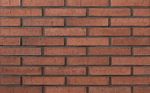 Кирпич клинкерный Plinfa Iron 2316, 270x85x50