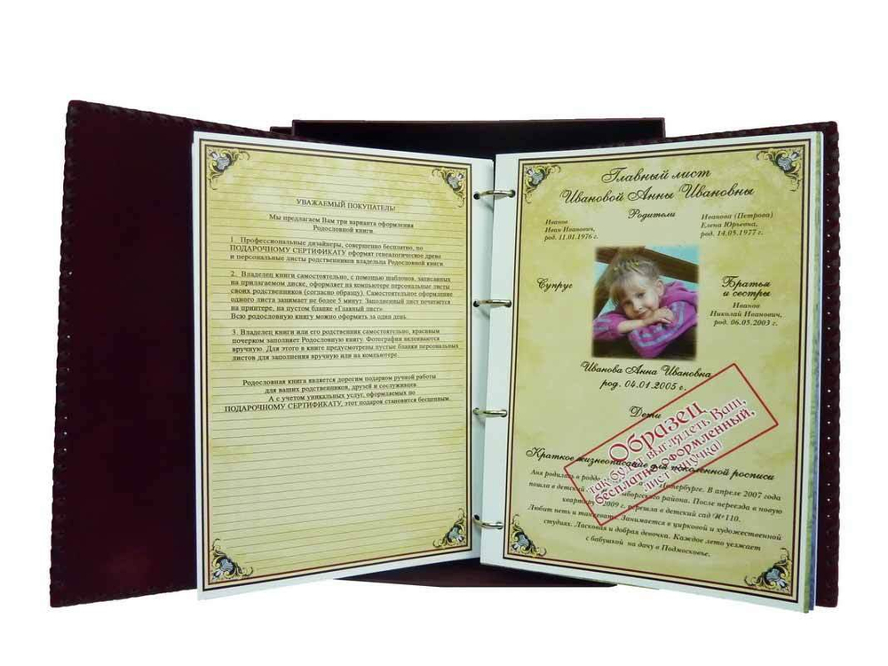 Родословная книга "Изысканная" белая, кожзам (в подарочной коробке)