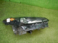 DSCN2526.jpg