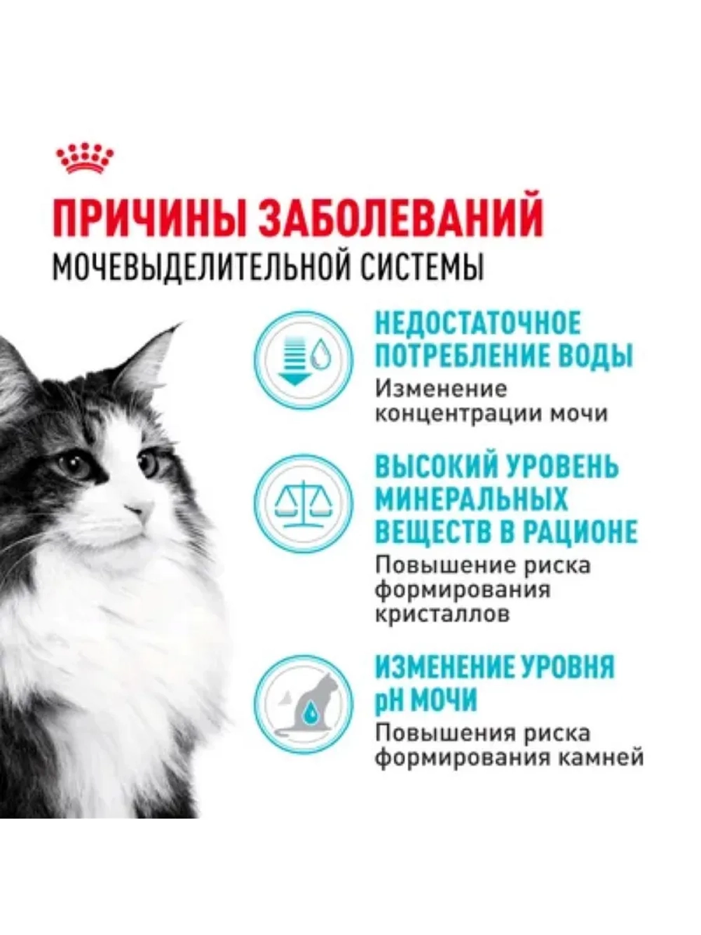 Urinary Care Корм для кошек профилактика МКБ 400г