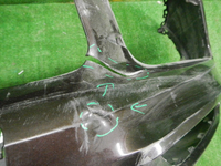 DSCN7394.JPG