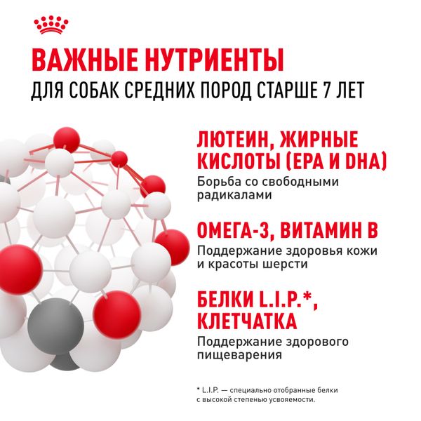 Сухой корм Royal Canin Medium Adult 7+ для взрослых собак средних размеров от 7 лет и старше