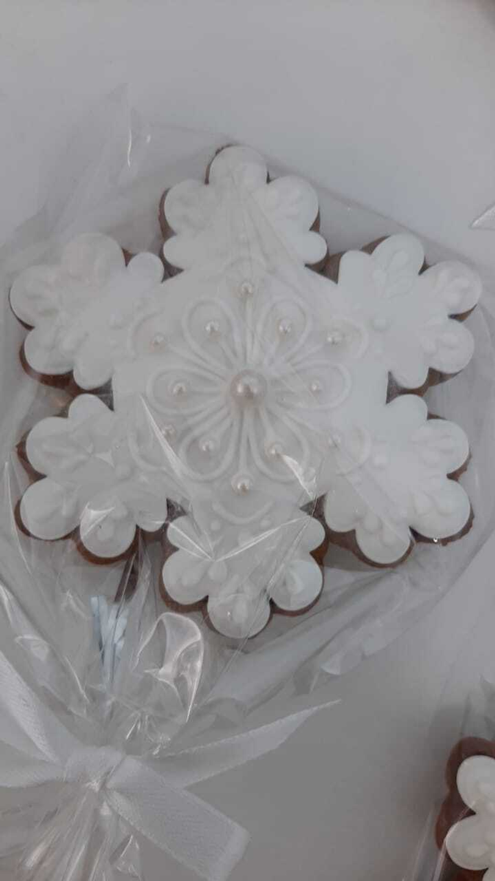 WhatsApp Image 2024-12-24 at 13.48.26