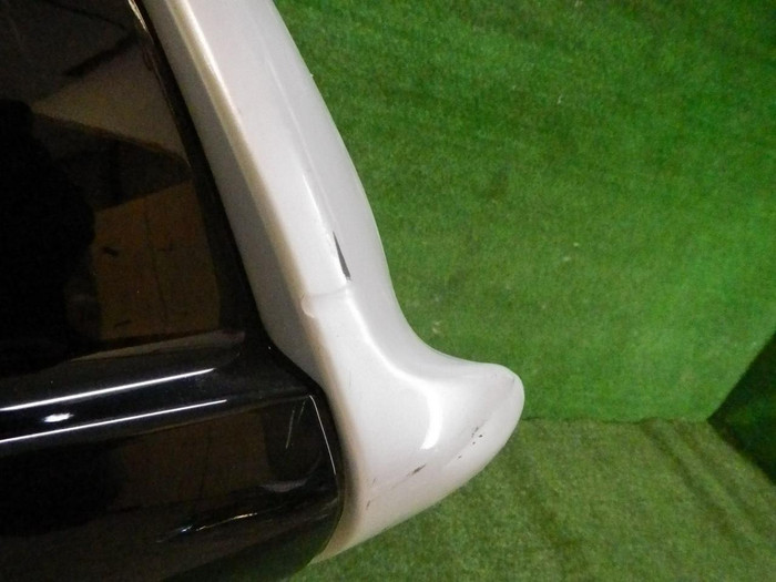 DSCN1041.jpg