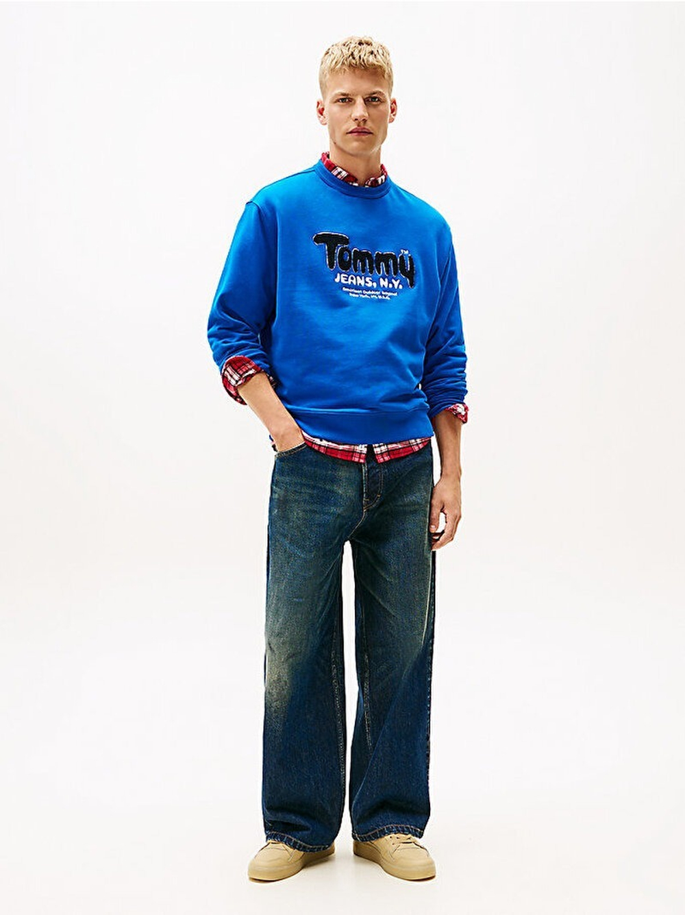 Толстовка мужская TOMMY JEANS TJM RLX BOUCLE FNT P