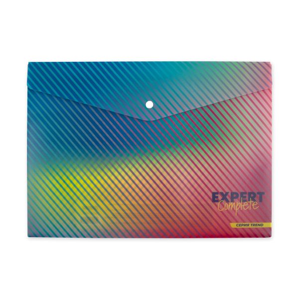 Папка-конверт с кнопкой A4 180 мкм песок, 20 шт, ECTR-10, Expert Complete