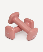 Гантель виниловая STARFIT DB-106 1 кг, терракотовый, пара