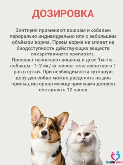Зинтирил 15 мг от аллергии для кошек и собак, 10 таблеток