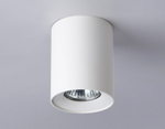 Накладной светильник Ambrella Light TN TN213136