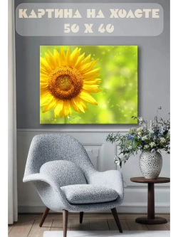Картина на стену 40 X 50 Подсолнух