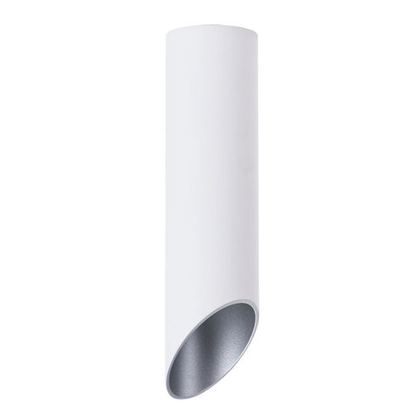 Светильник потолочный Arte Lamp Pilon-Silver A1535PL-1WH