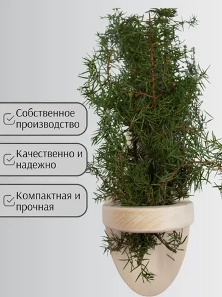 Фито полка для трав и веников овал 1 отв. вертикальная