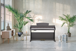 Becker BDP-82