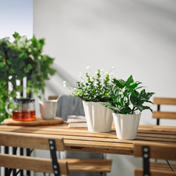 IKEA KVASTSPIREA  (ИКЕА КВАСТСПИРЕА)  -  Кашпо - для дома/улицы/кремовый 9 см
