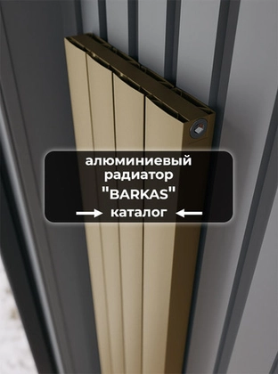 Серия Barkas V