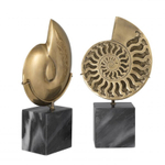 Подставка для книг Ammonite (2 штуки) ACCESSORIES