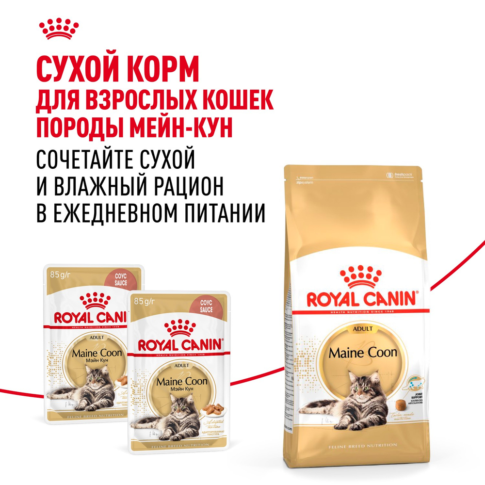 Royal Canin Maine Coon Adult Мейн Кун Эдалт Корм влажный для взрослых кошек породы Мэйн Кун соус 85г
