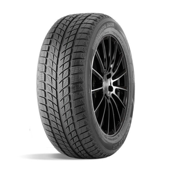 Зимняя шина DoubleStar DW09 (255/55 R20 107H)