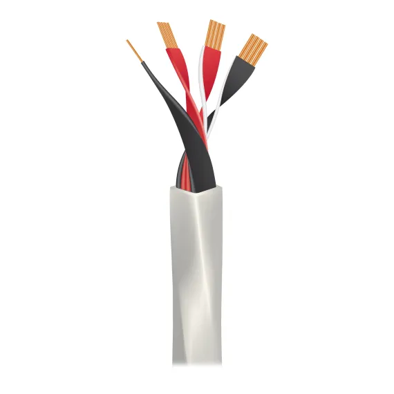 Amphion Argon1 + Eco BT + Premiera A1 + Wireworld Luna 8 Speaker Cable