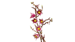 Конструктор LEGO The Botanical Collection 11510 Magnolia Branches