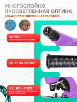 Микроскоп Levenhuk Rainbow 50L Аметист