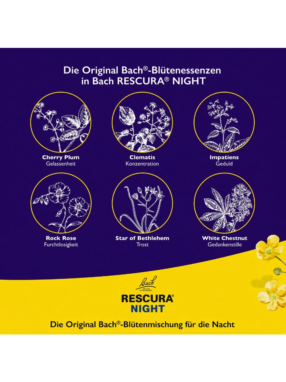 Bach Rescura ночной, 10 мл
