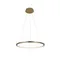 Подвесной светильник Ring 10014M Loft It