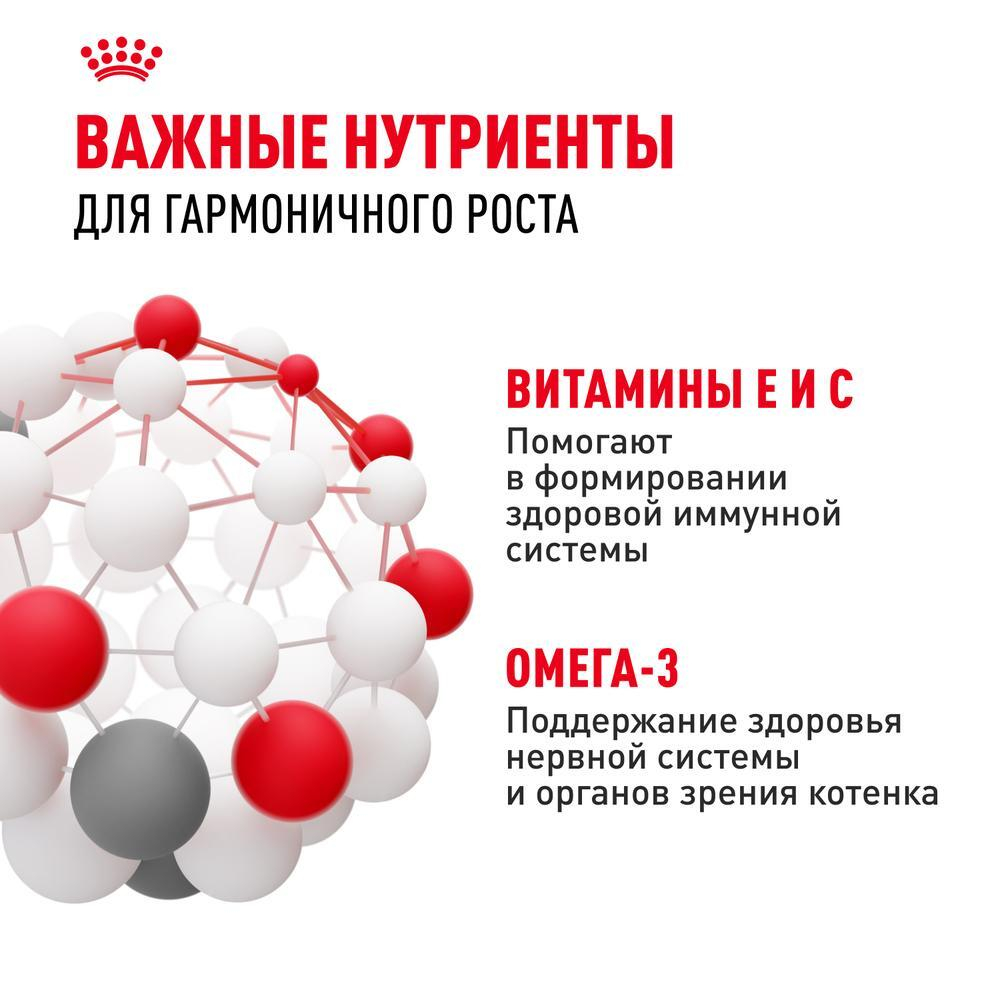 Кусочки в соусе, 85г влажный корм для котят до 12 месяцев Royal Canin Kitten