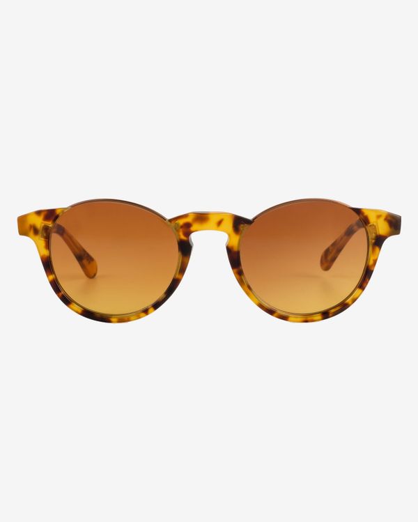 Очки солнцезащитные Spunky Oliver 6 Tortoise / Gradient brown lens - фото 1