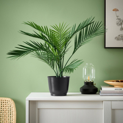 IKEA BROKTRAST  (ИКЕА БРОКТРАСТ)  -  Кашпо - для дома/улицы/тёмно-серый 15 см