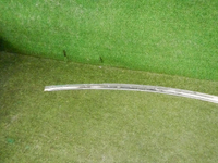 DSCN6094.jpg