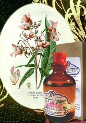 Fragrifert Parfumeur Ajonc