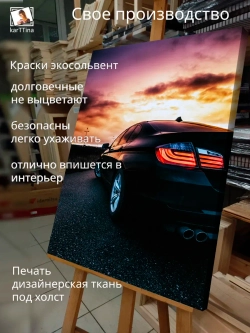 Картина "BMW F10", галерейная 30х40см 1шт.