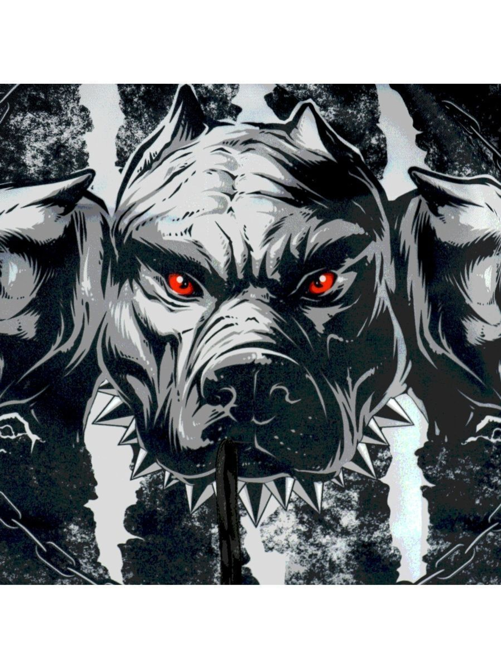 Шорты спортивные для ММА Cerberus