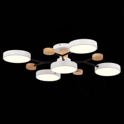 Светильник потолочный Evoluce Faema SLE6006-502-05