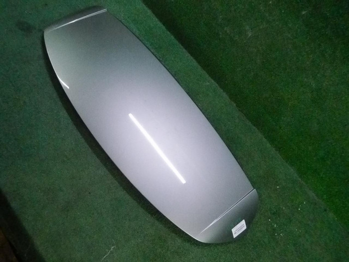 DSCN8201.JPG