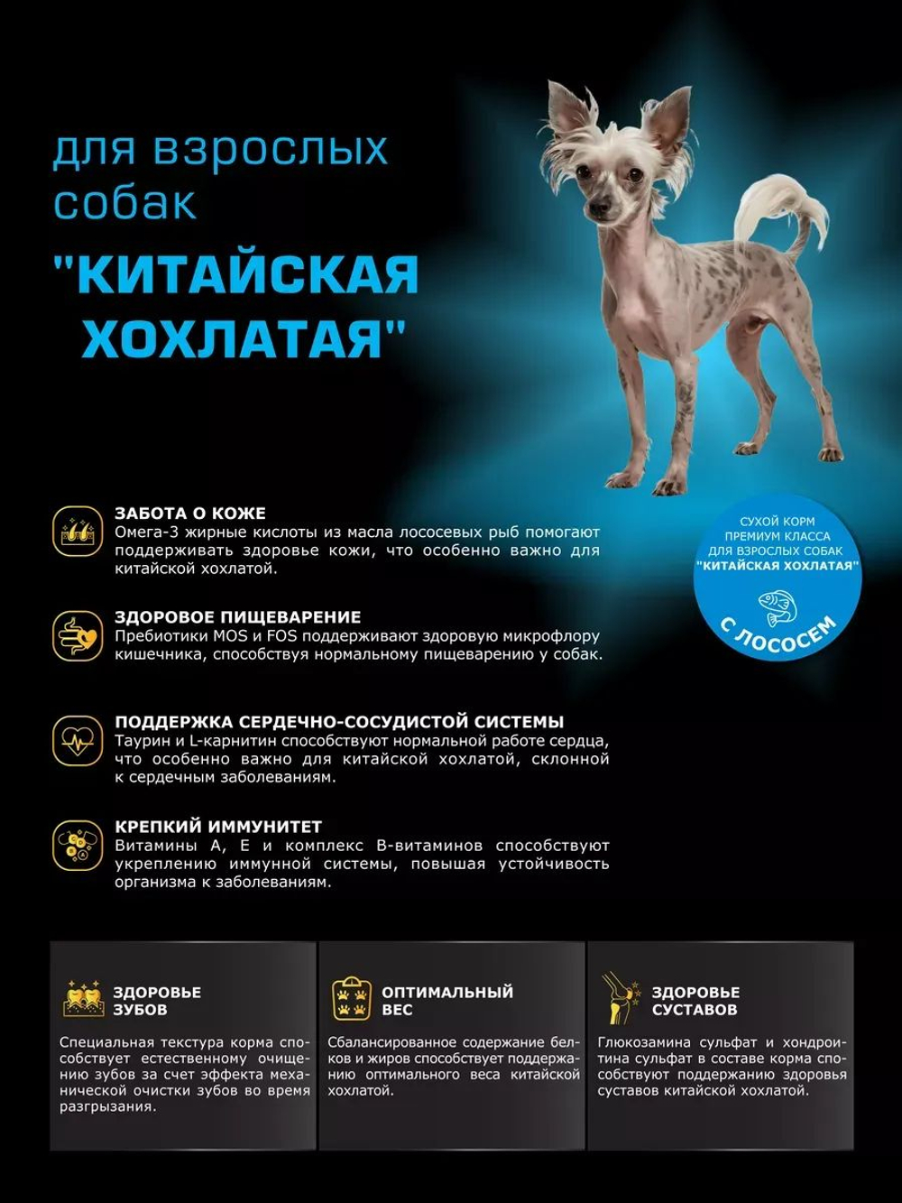 Корм сухой для взрослых собак породы Китайская хохлатая, с лососем, 2,5 кг, QUATTRO