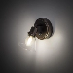 Citilux Трек Бисмарк CL564511 Спот с выключателем Венге