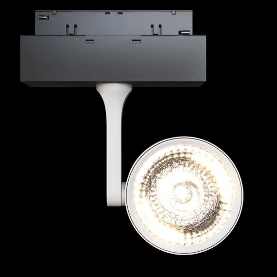 Трековый светильник Track Lamps TR024-2-10W3K Maytoni