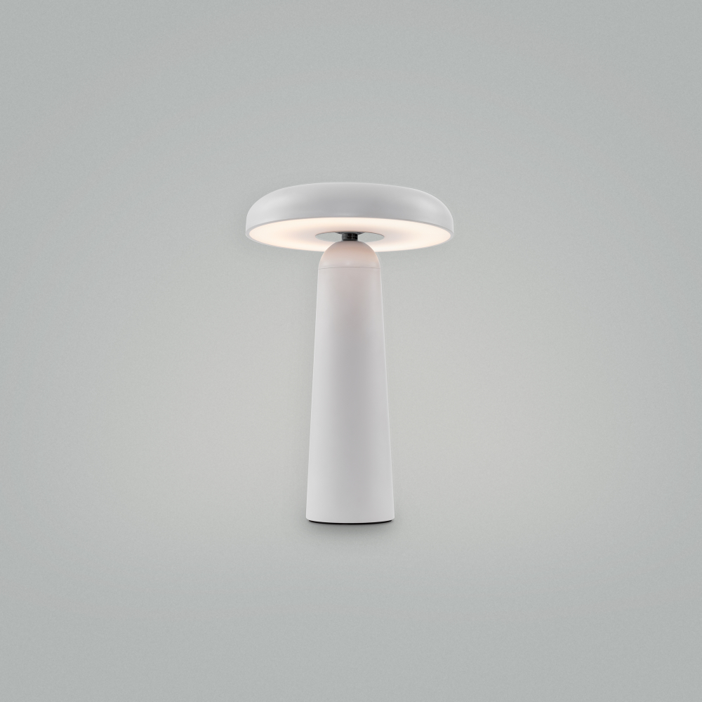 Аккумуляторный светильник Freya Mushroom FR6109TL-L4W