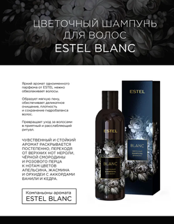 ДУЭТ КОМПАНЬОНОВ ESTEL BLANC
