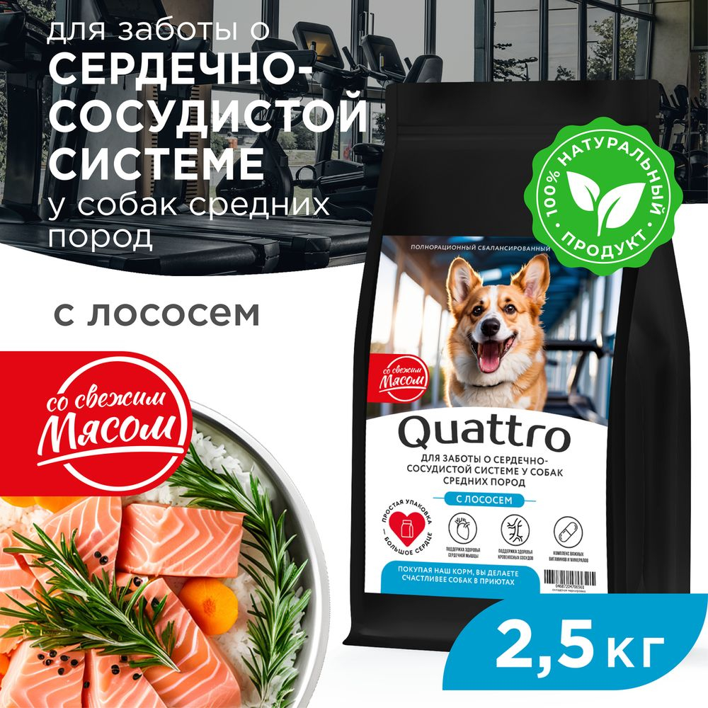 Корм сухой для взрослых собак средних пород, премиум полнорационный комплекс, забота о сердце и сосудах, с лососем, 2,5 кг, QUATTRO