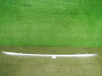 DSCN9599.JPG