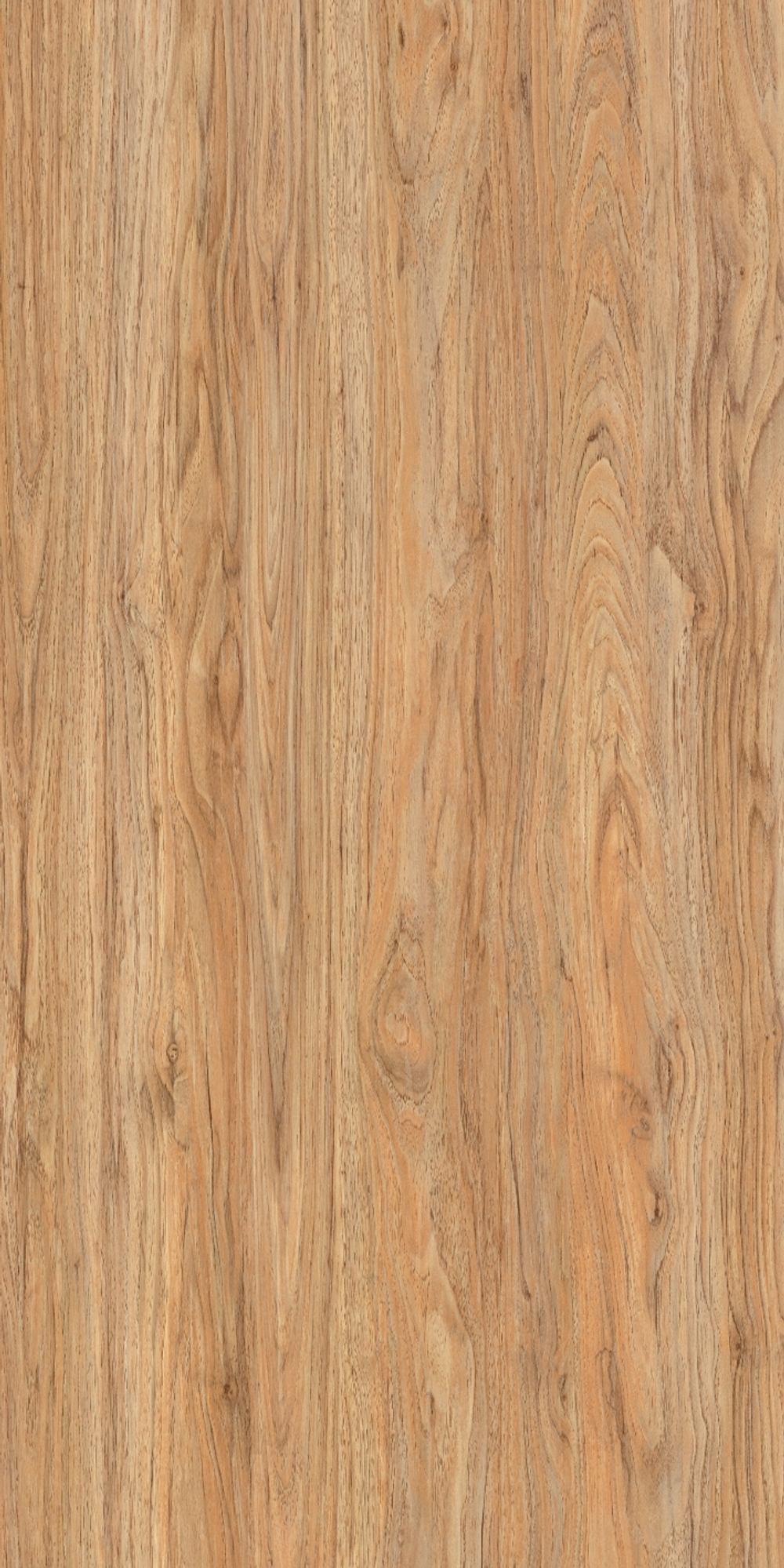 Polished Wood