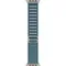 Умные часы Apple Watch Ultra 3 49 мм Natural Titanium Alpine Loop Голубой Light Blue