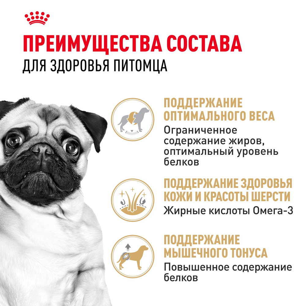 Royal Canin Pug Adult Мопс Эдалт Корм сухой для взрослых собак породы Мопс от 10 месяцев 7,5кг