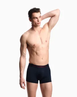 Трусы 2шт/упак мужские EMPORIO ARMANI