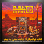 Public Enemy ‎– What You Gonna Do When The Grid Goes Down? (Европа 2020г.)