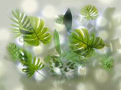 GREENDAY21 5